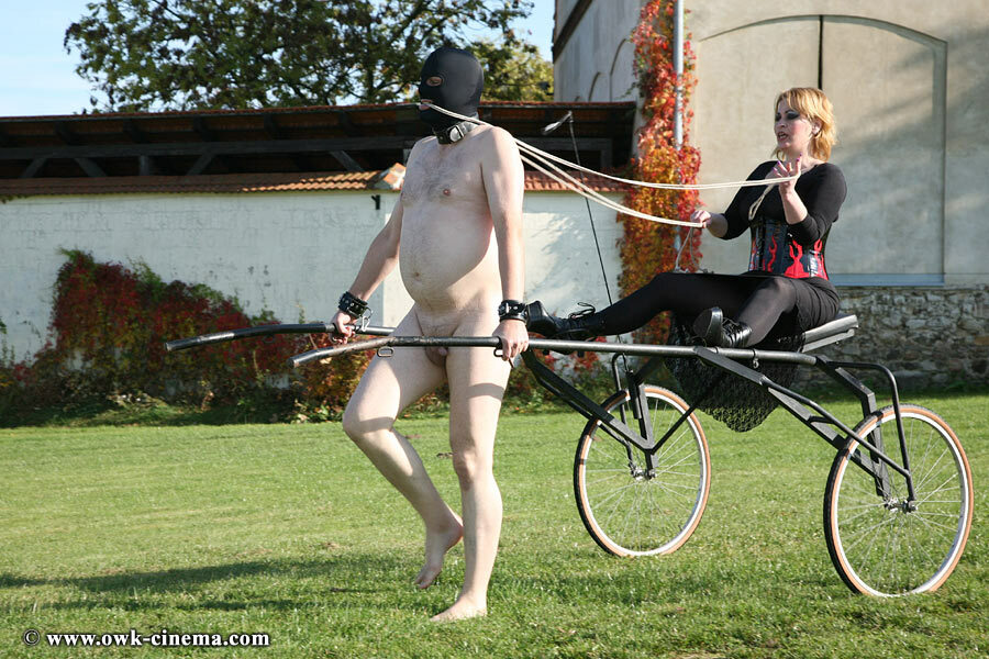 Outdoor CFNM Femdom — 21