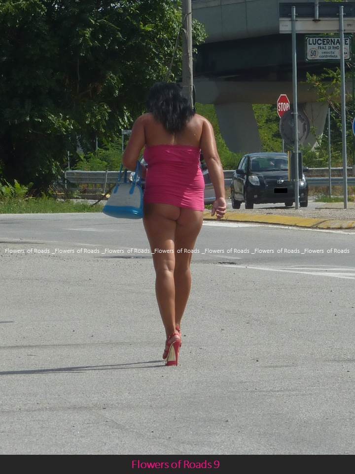 Brunette (ass)flowers of the road from Spain,Italy — 31